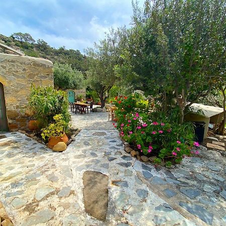 Natura Cottages Makrýgialos Extérieur photo