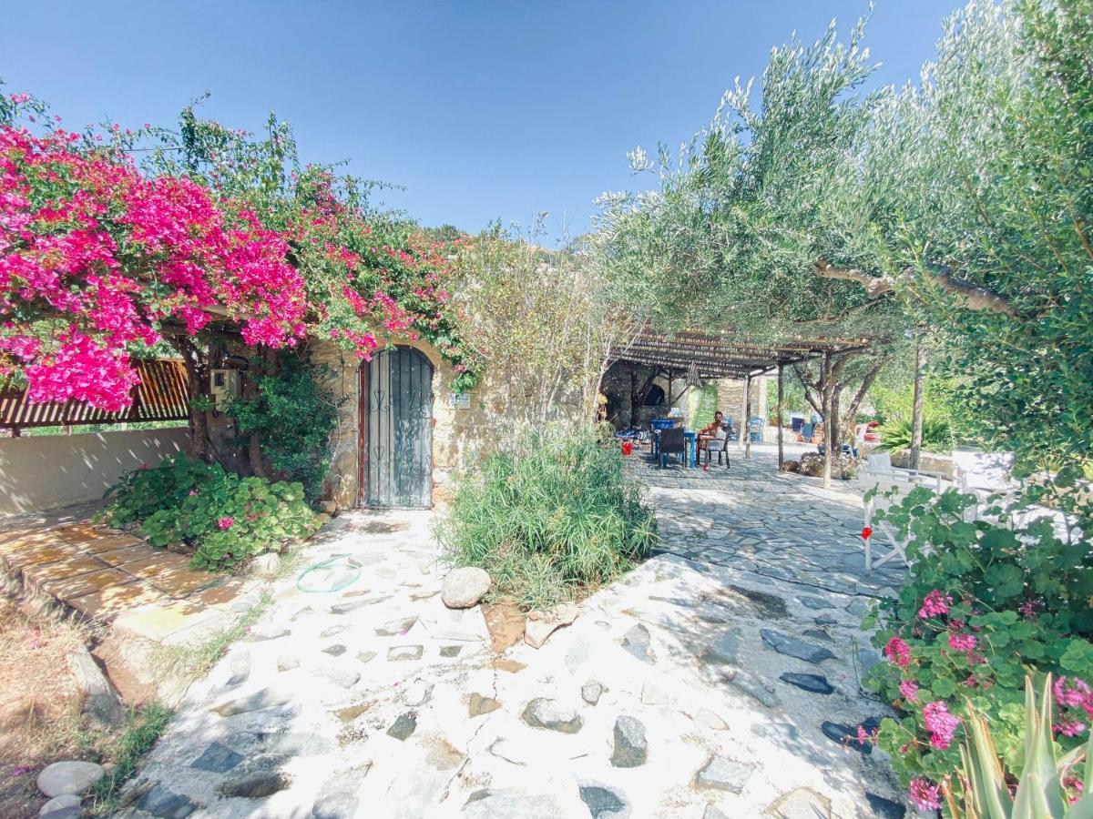 Natura Cottages Makrýgialos Extérieur photo