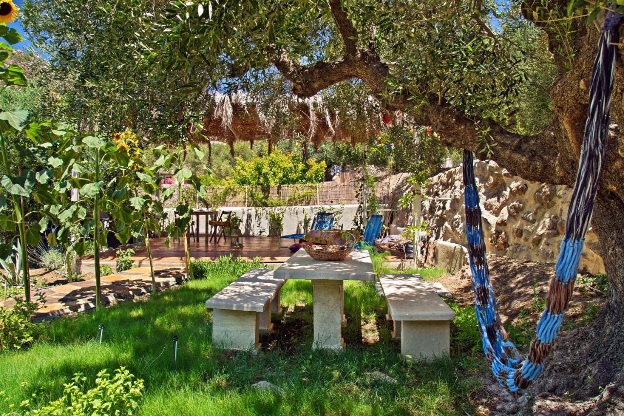 Natura Cottages Makrýgialos Extérieur photo